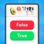 True False – Quiz